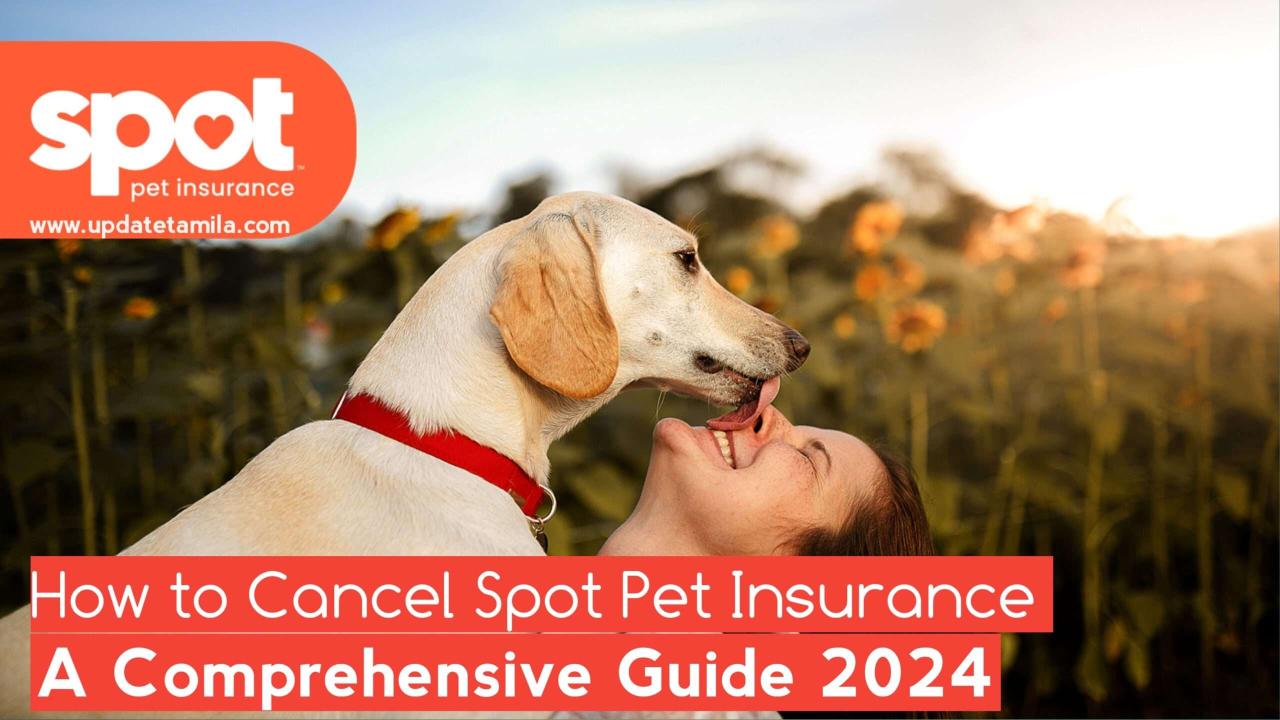 how to cancel spot pet insurance
