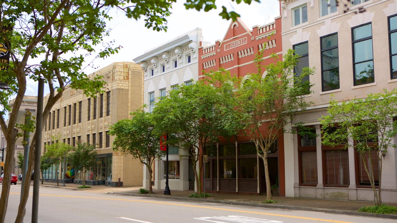 usa insurance hattiesburg ms