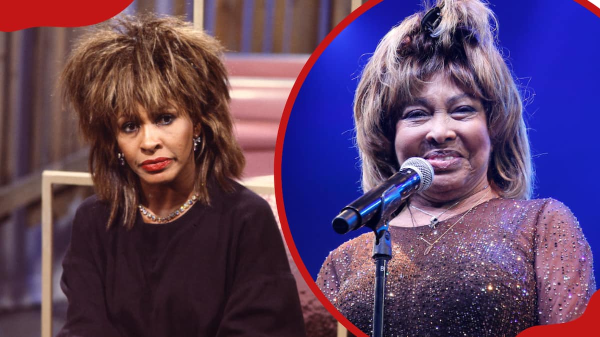 tina turner legs insured terbaru