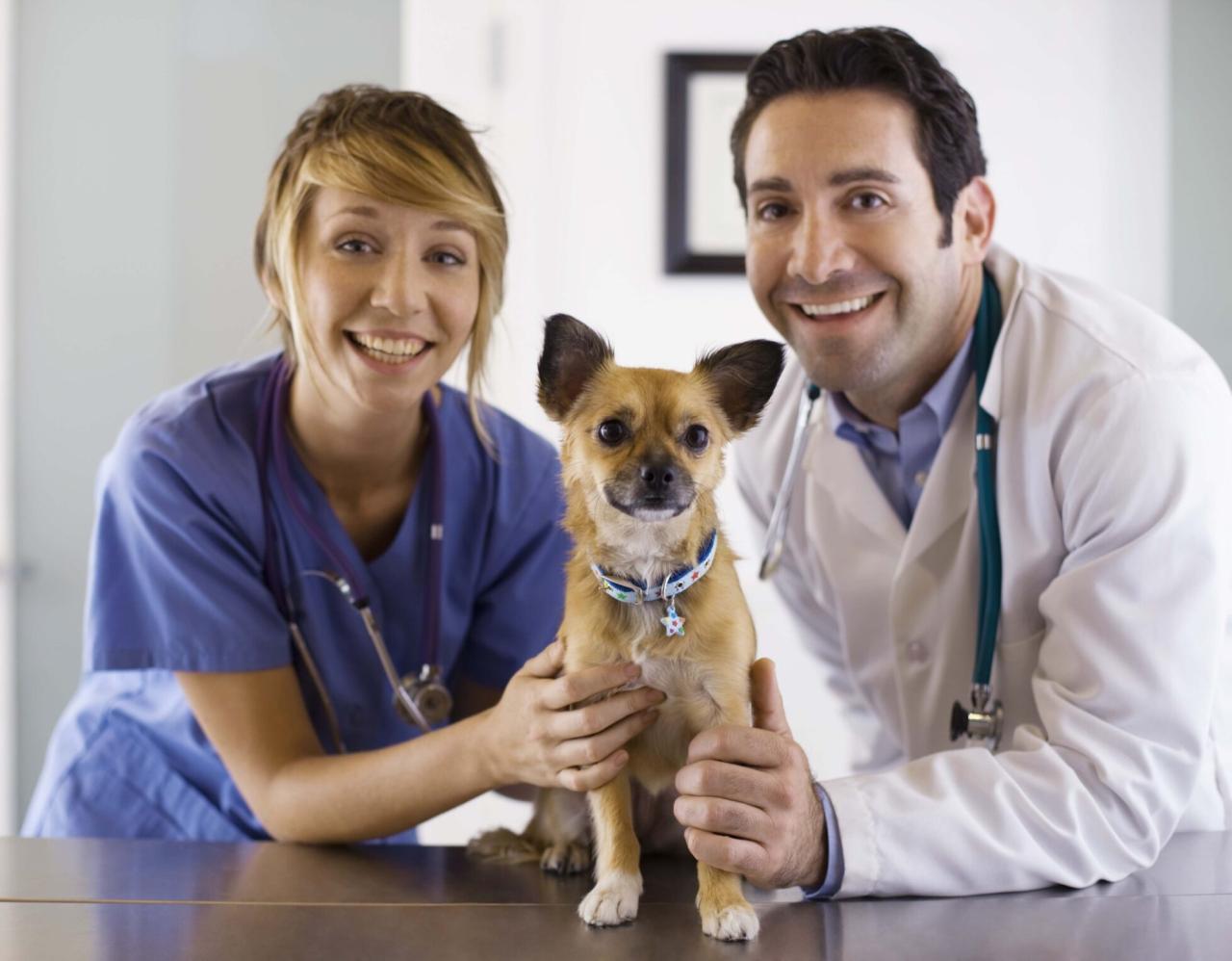 veterinary professional liability insurance