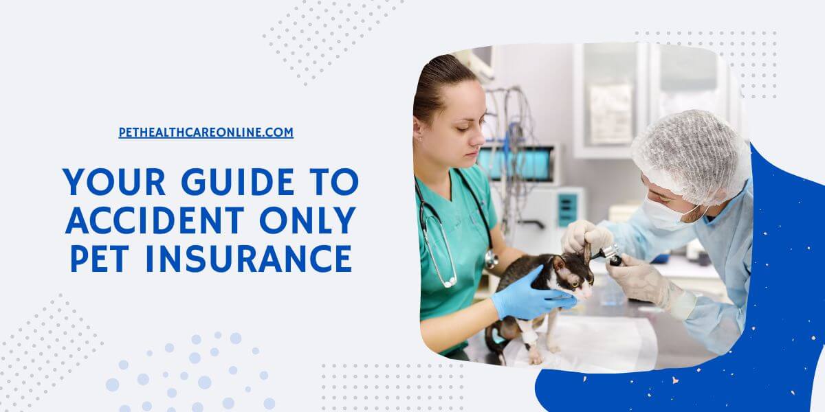 accident only pet insurance