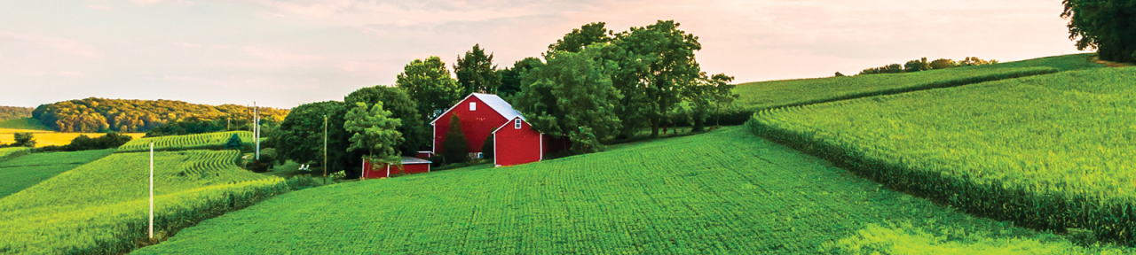 tuscarora wayne insurance company terbaru