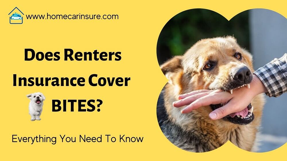 does renters insurance cover dog bites terbaru
