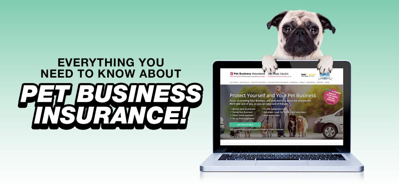 insureon insurance
