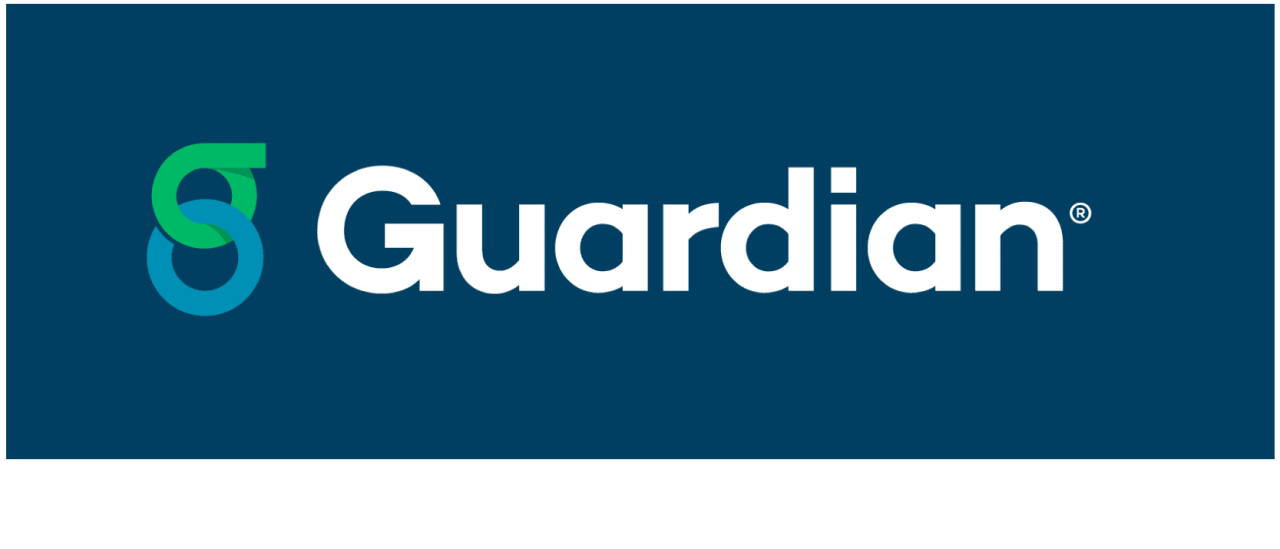insurance theinsuranceproblog guardian contract loan understand
