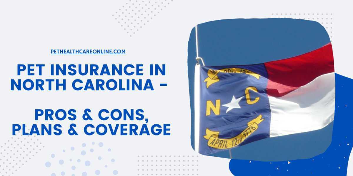 best pet insurance in nc
