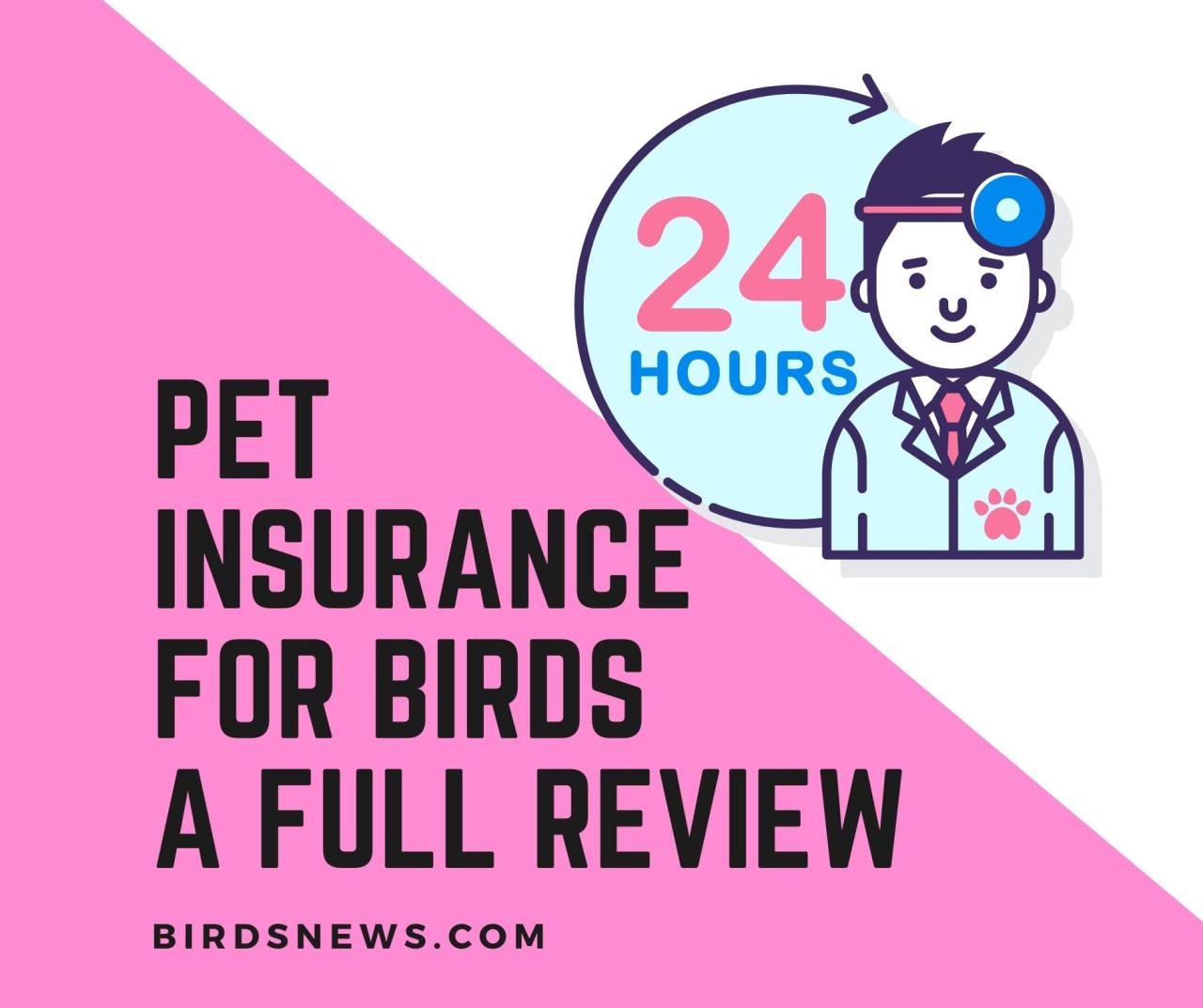 pet insurance for birds terbaru