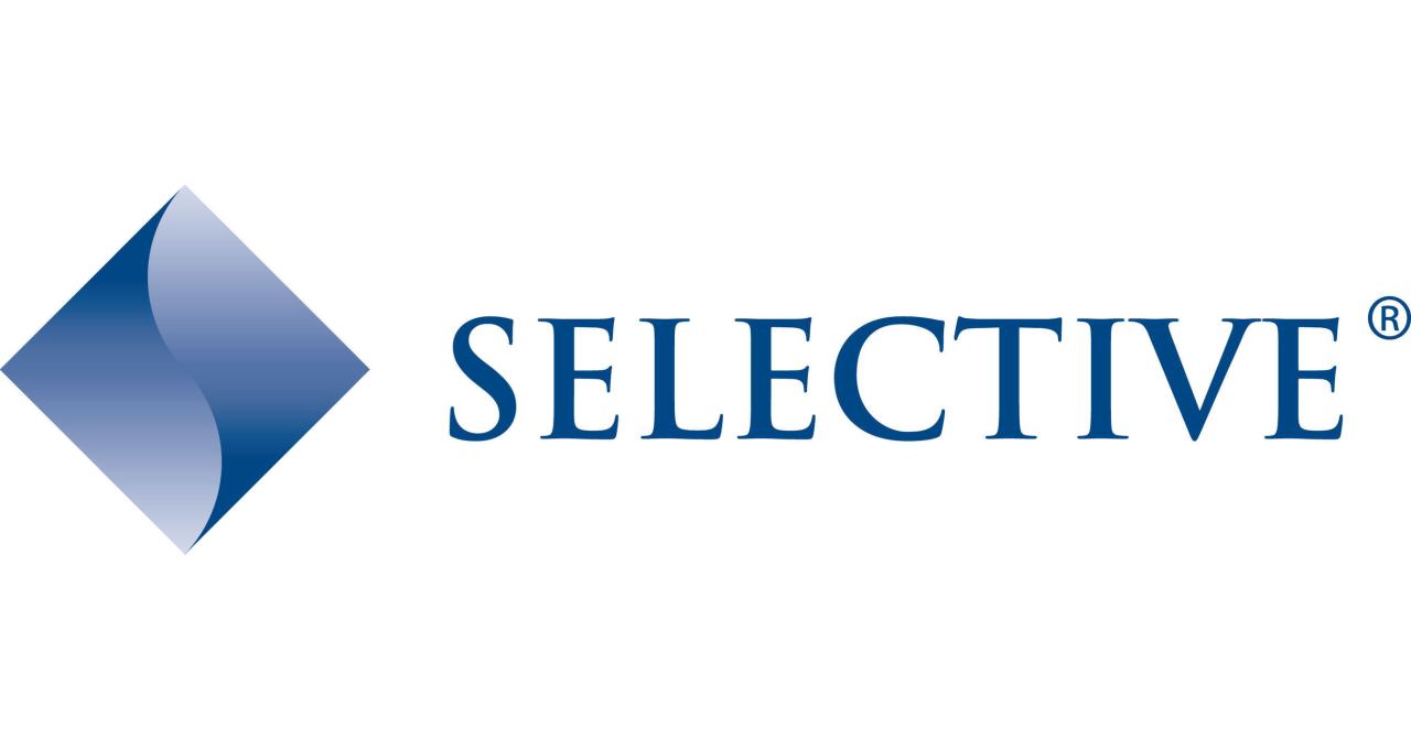 selective insurance company careers