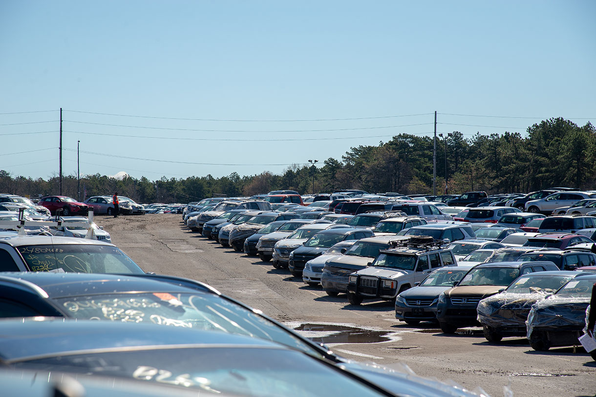 insurance auto auction concord terbaru