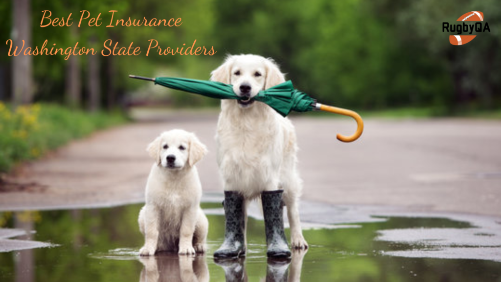 best pet insurance washington state
