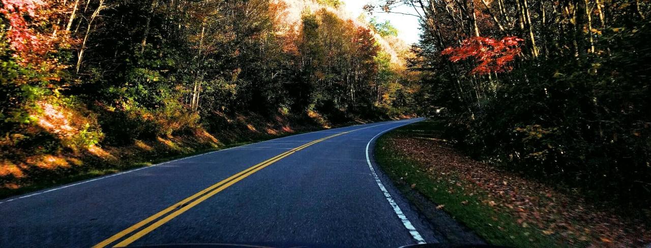 car insurance greenville sc terbaru