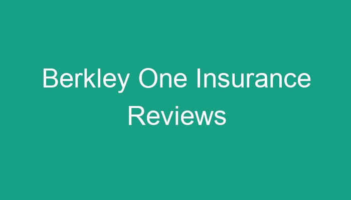 berkley one insurance reviews