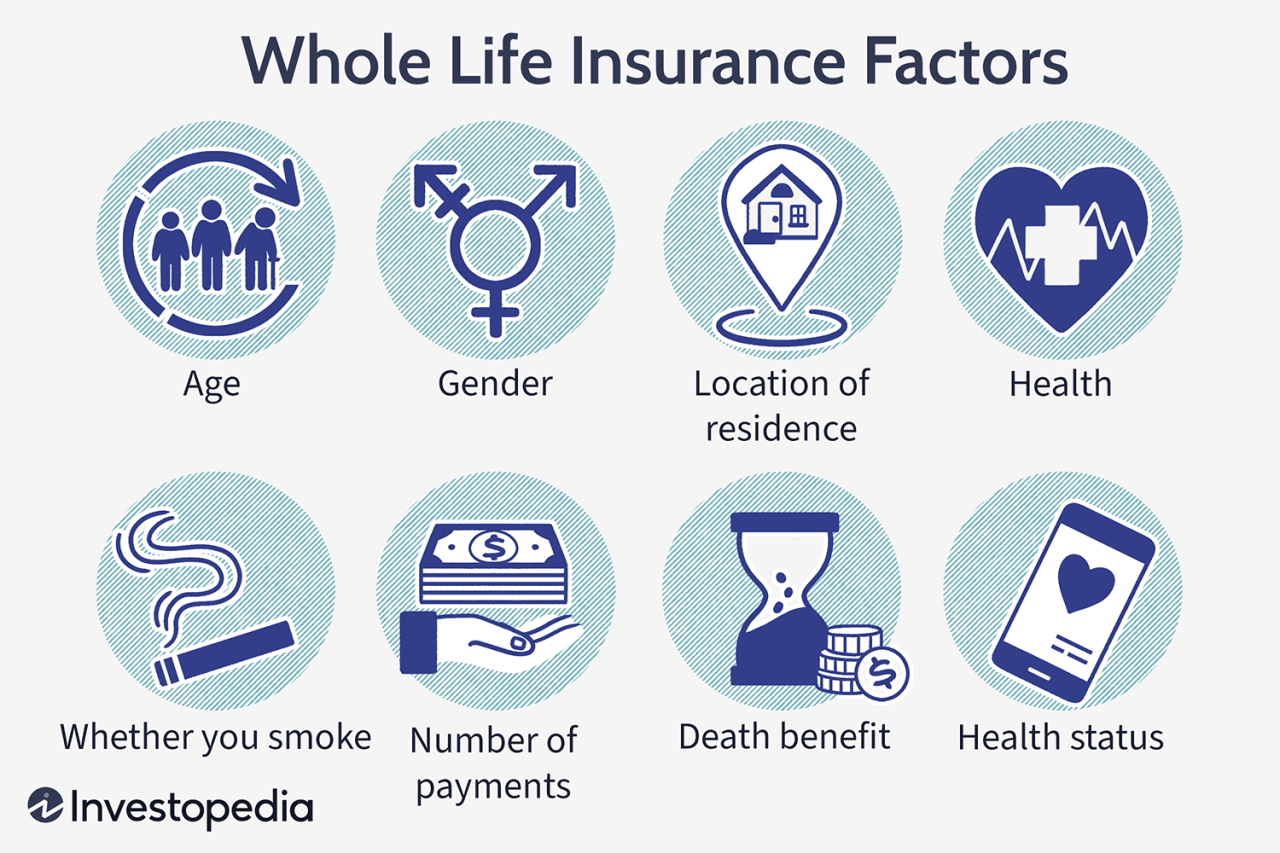 best whole life insurance policy for infinite banking terbaru