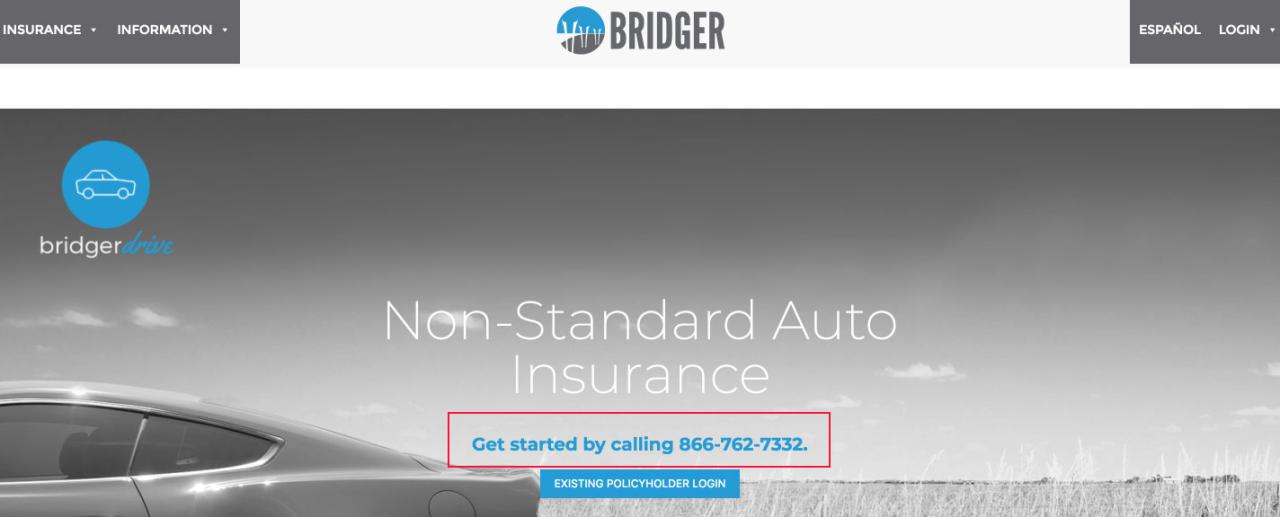 bridger insurance