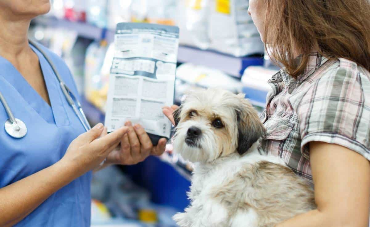 does pet insurance cover prescription food terbaru