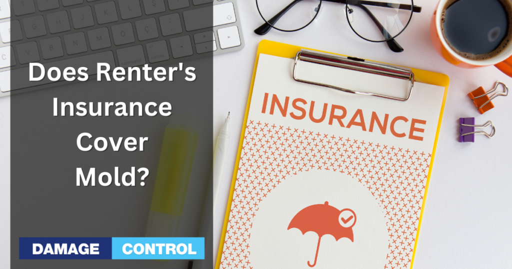 mold insurance does cover