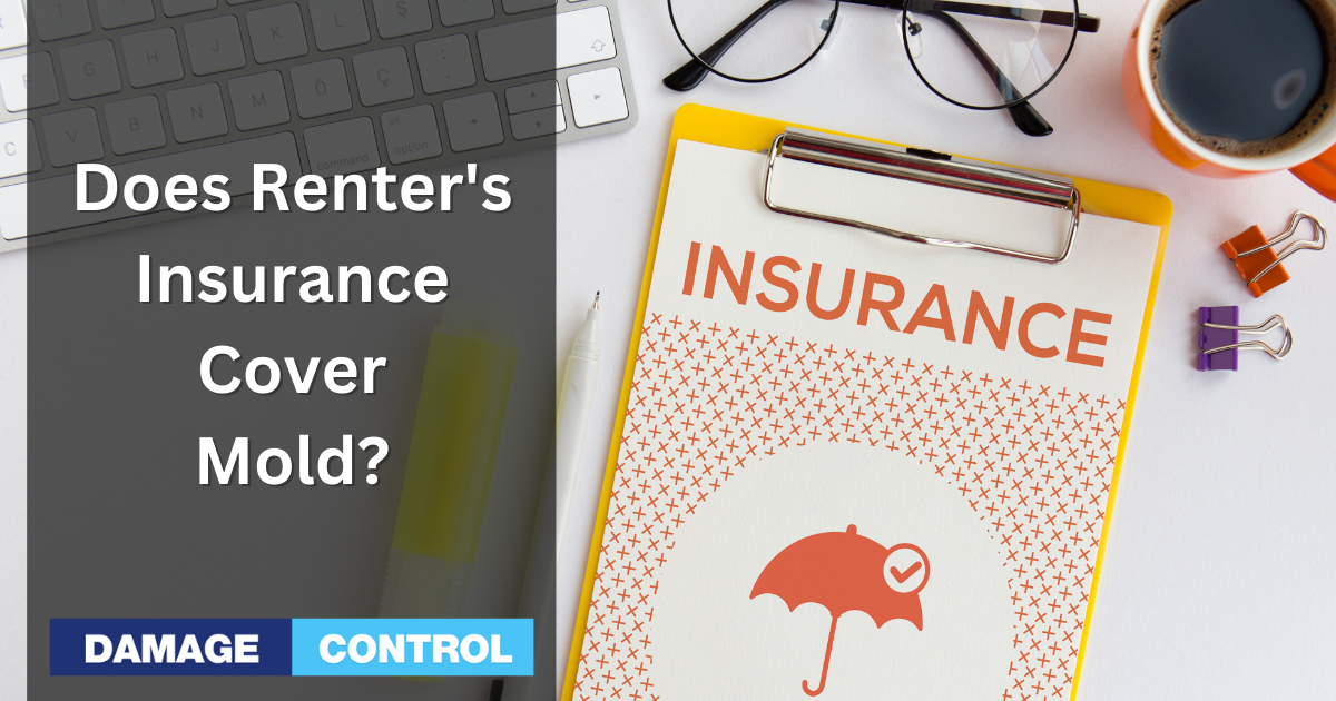 mold insurance does cover