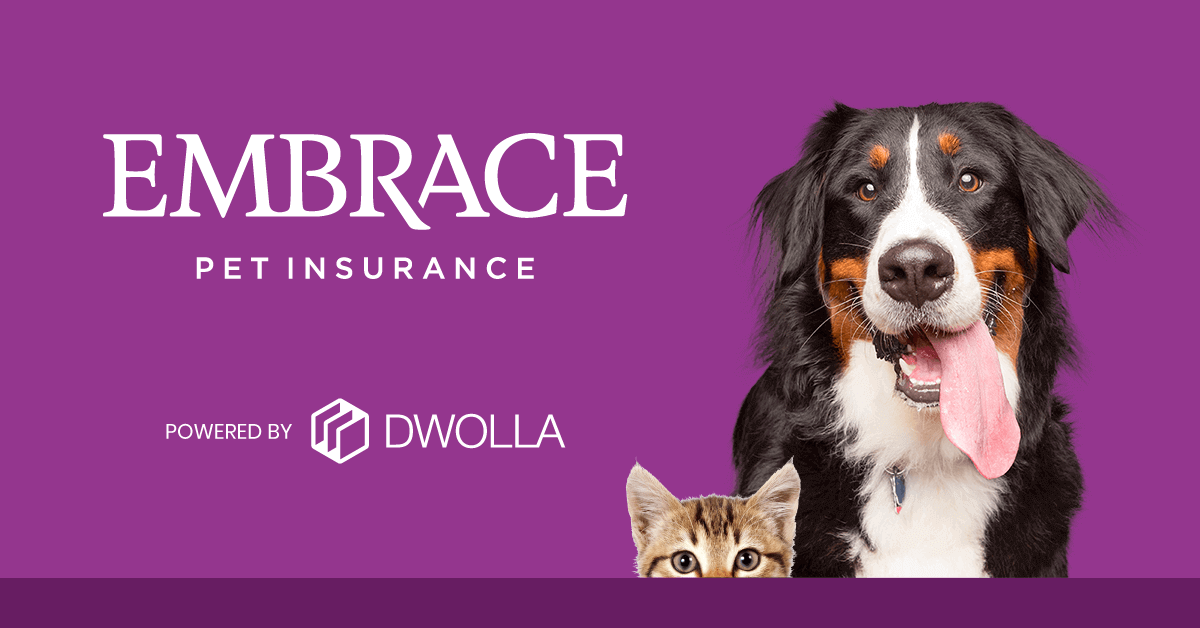 embrace pet insurance reddit terbaru