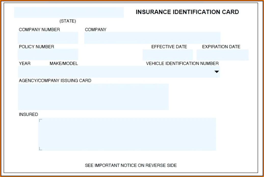 fake car insurance card terbaru