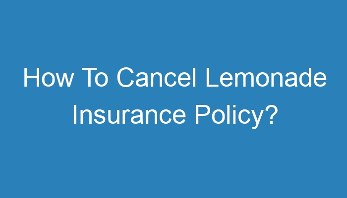 insurance lemonade cancel policy seconds took three me