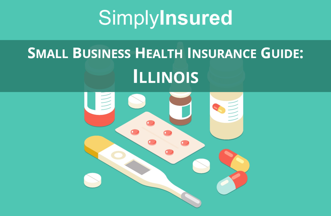 insurance guide illinois health texas business small