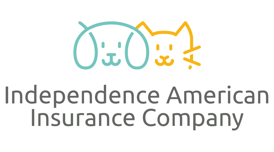 independence american insurance company