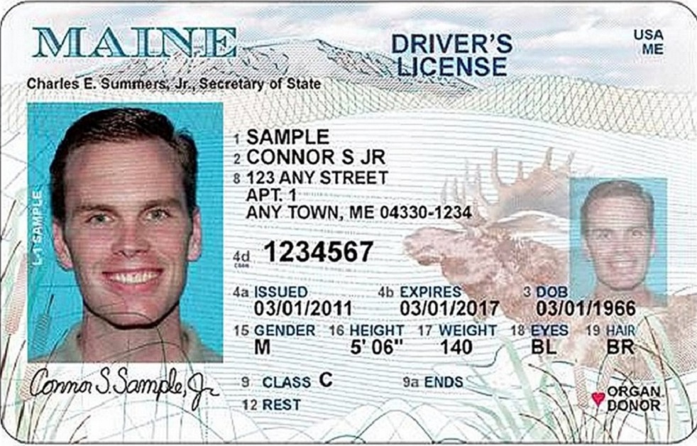 maine insurance license lookup