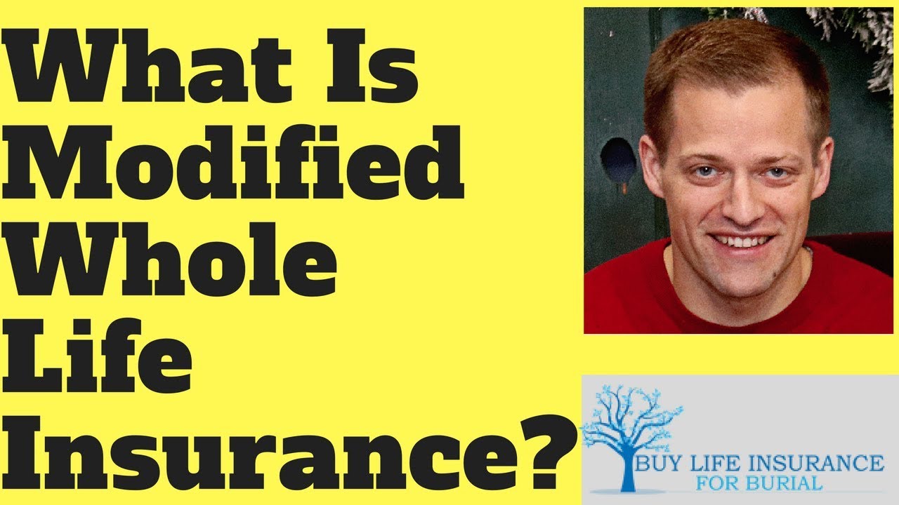 modified whole life insurance
