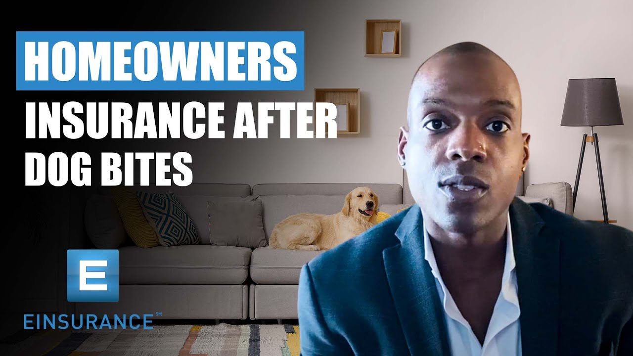 finding homeowners insurance after dog bite terbaru