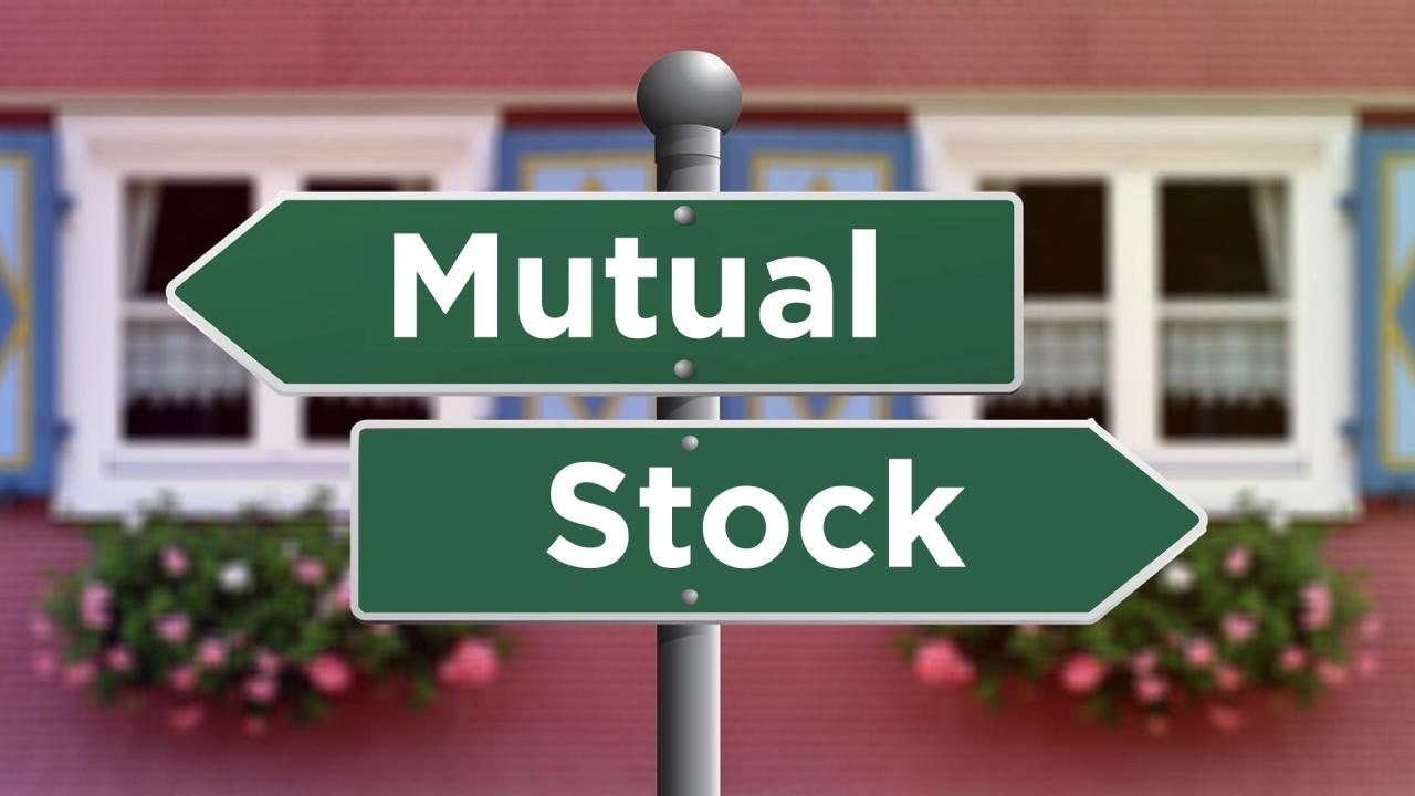 who owns a stock insurance company