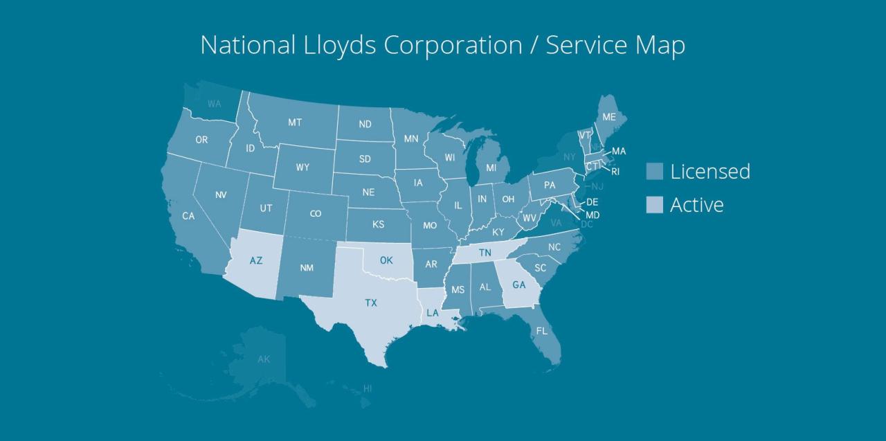 american summit insurance company terbaru