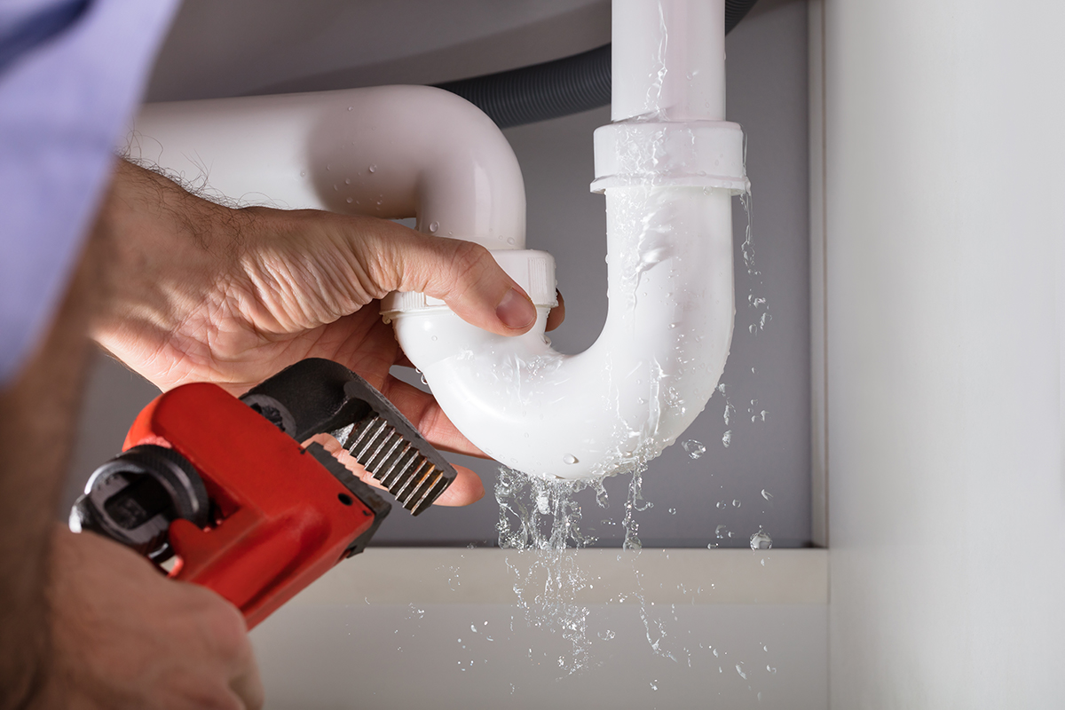 liability insurance for plumbers terbaru