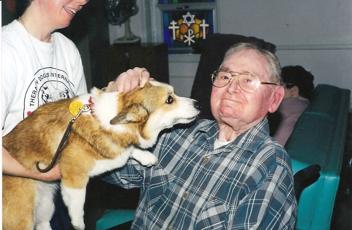 therapy dog international insurance terbaru