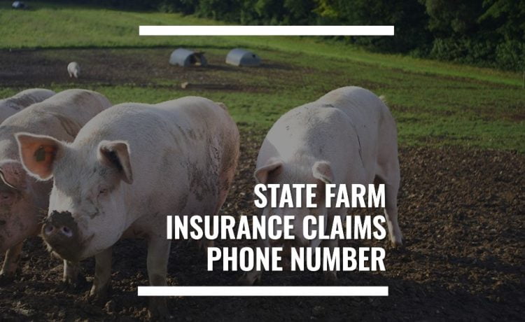 viking insurance claims phone number terbaru