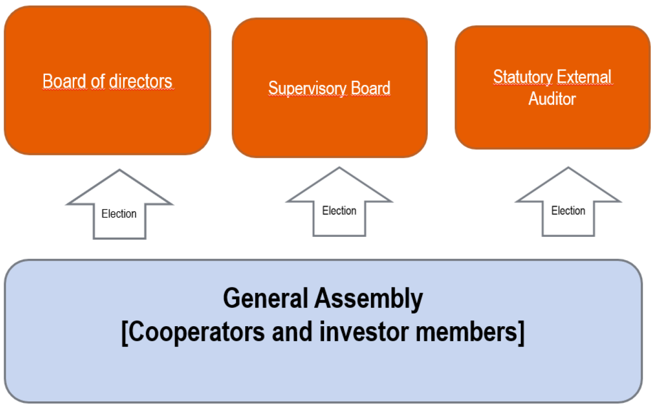who elects the governing body of a mutual insurance company