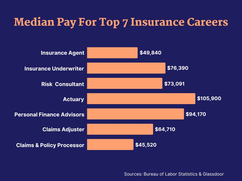 resume adjuster insurance claims entry level template templates now create guide