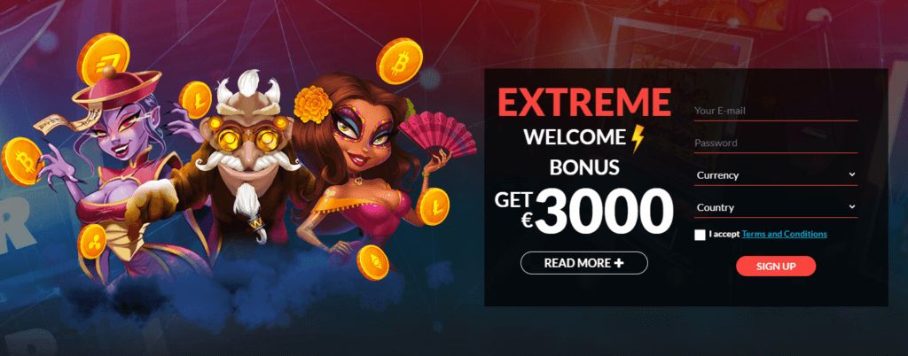 bizon casino