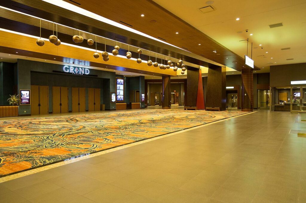 kiwi casinos