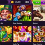 bcasino login nz