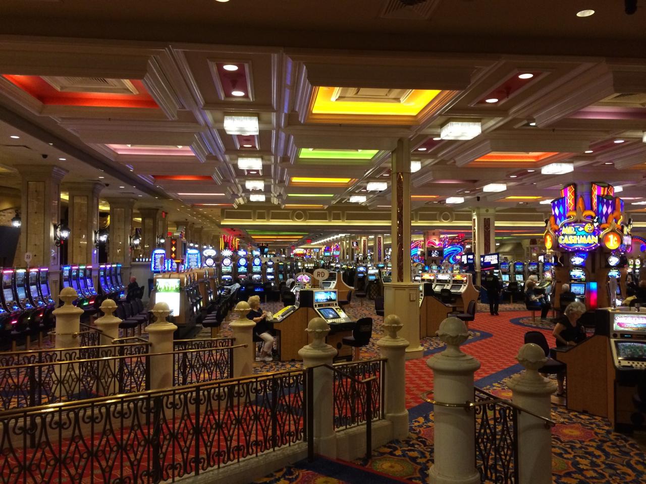 kiwis treasure casino