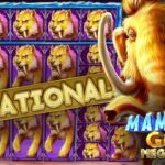 bizzo casino bonus code