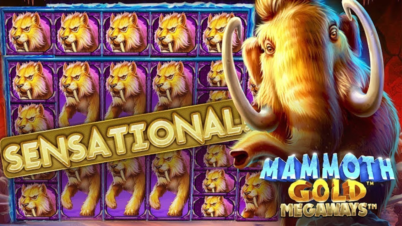 bizzo casino bonus code