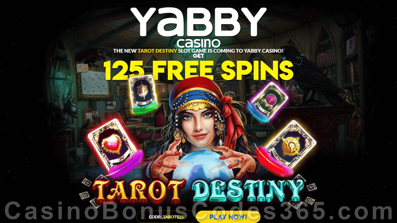 spicy bet login