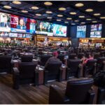 bison casino kod promocyjny bez depozytu