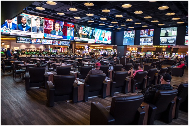 bison casino kod promocyjny bez depozytu