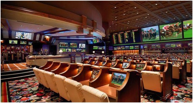 bison casino kod promocyjny bez depozytu