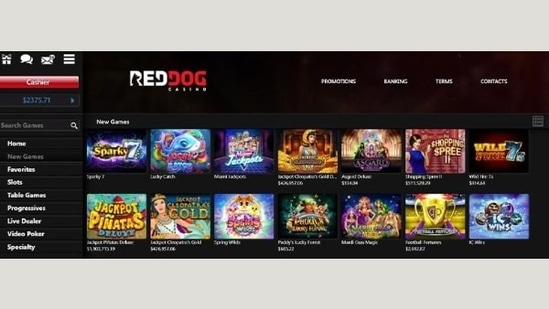 no deposit bonus raging bull