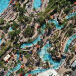 Immerion casino agento programa