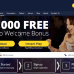 top 5 best online casino