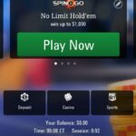 Casino Mobile App